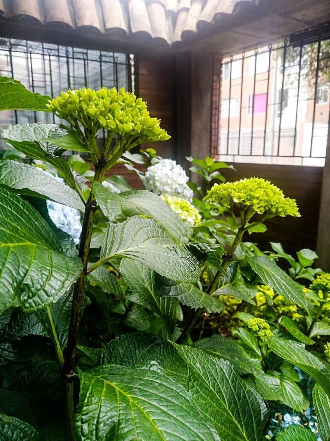 Hotel Atelier ボゴタ エクステリア 写真